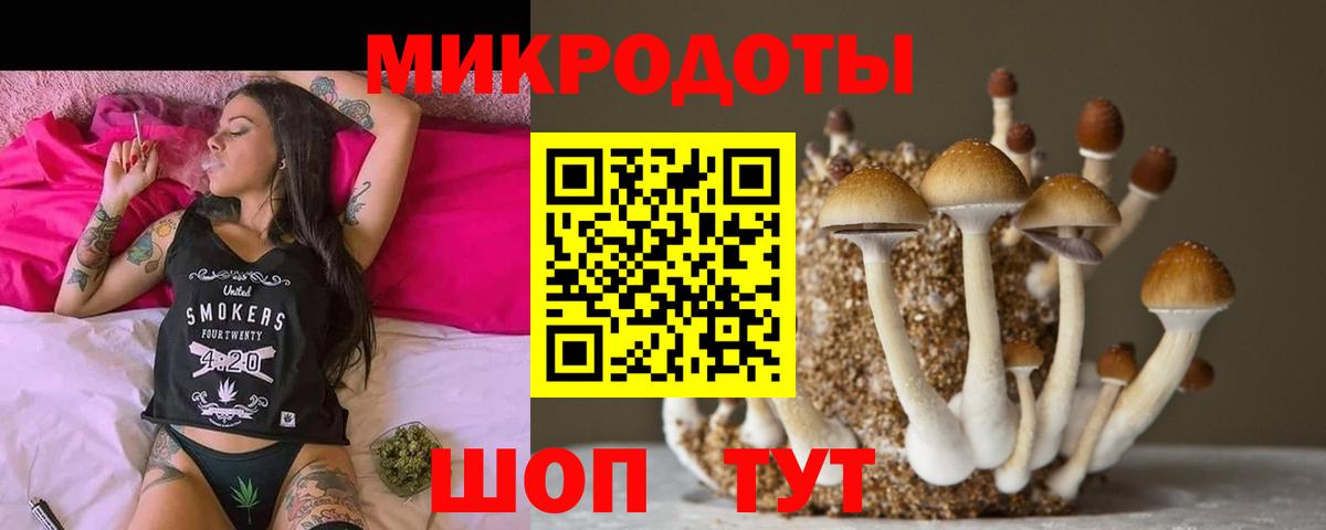 где купить наркотик  Галлюциногенные грибы MAGIC MUSHROOMS  Вход с VPN  Петропавловск-Камчатский 