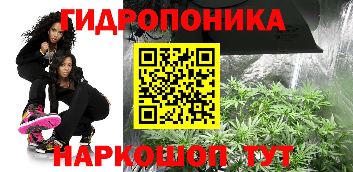 Канабис MAZAR  Каннабис конопля  Марихуана сатива  Шишки марихуана Ganja  Петропавловск-Камчатский  Вход с VPN 
